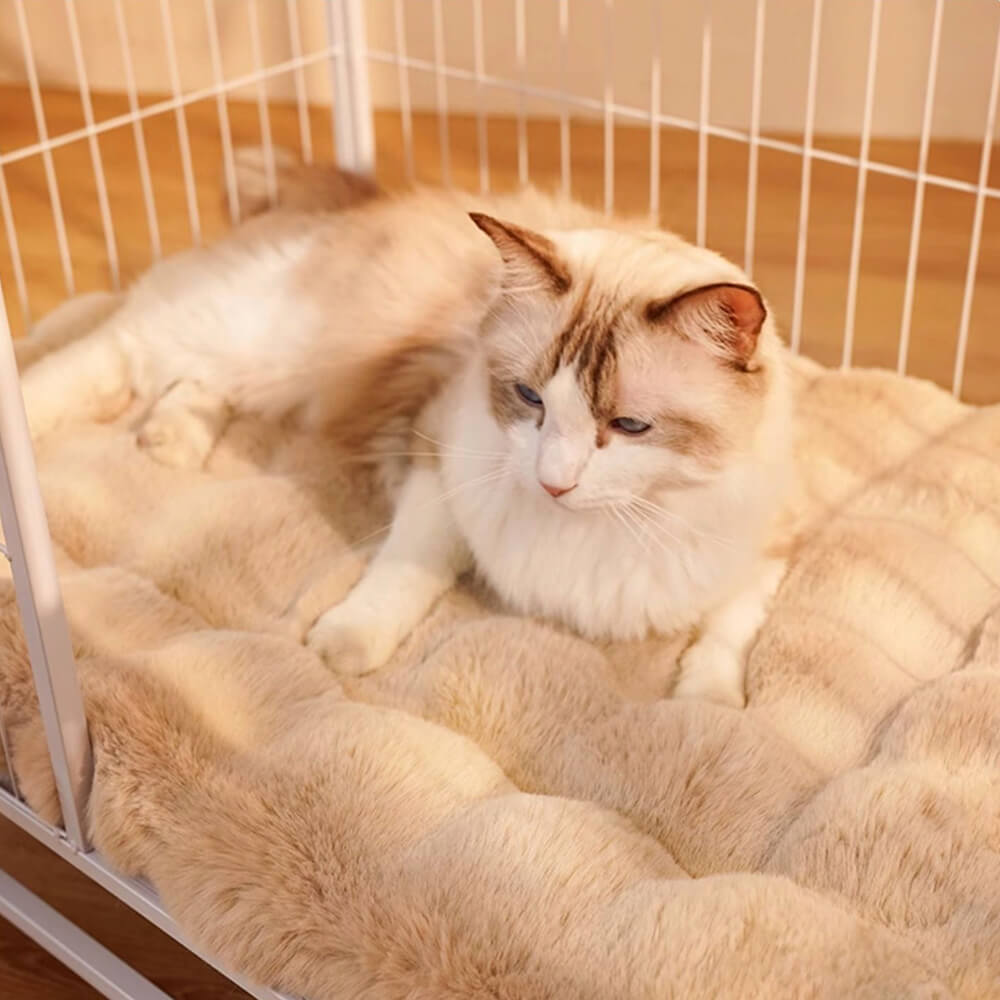 Modello d'onda Ultra morbida Fuce Furio Furia e tappetino per gatto con cuscino per animali