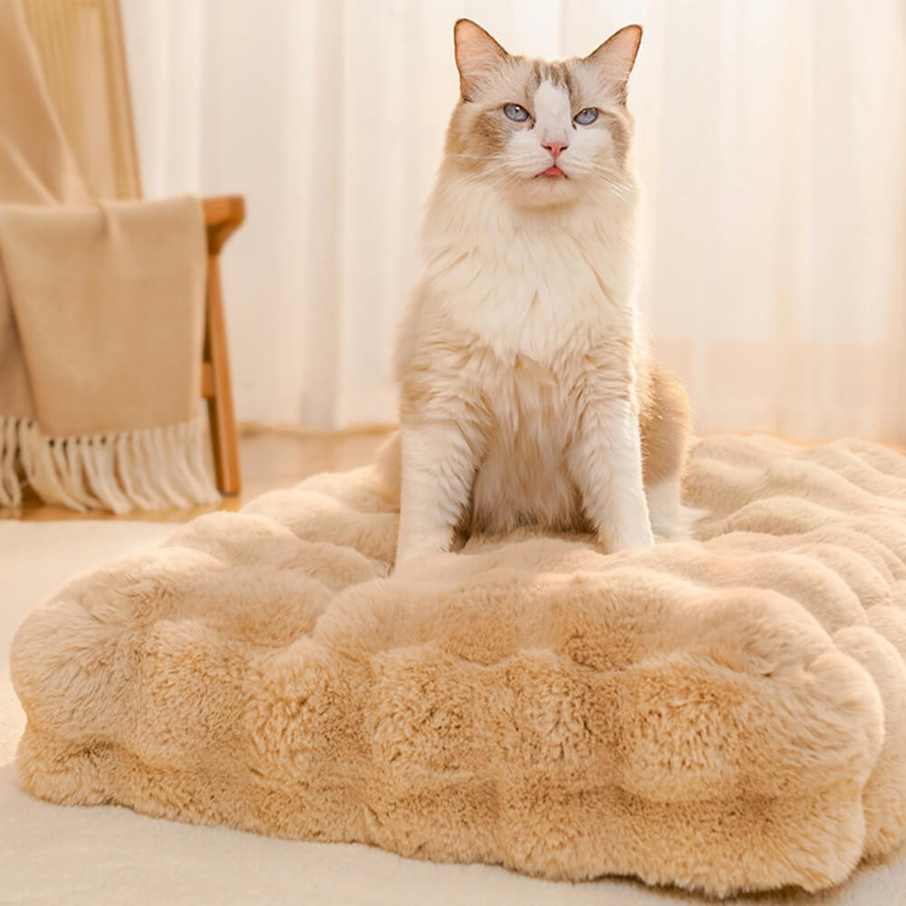 Modello d'onda Ultra morbida Fuce Furio Furia e tappetino per gatto con cuscino per animali