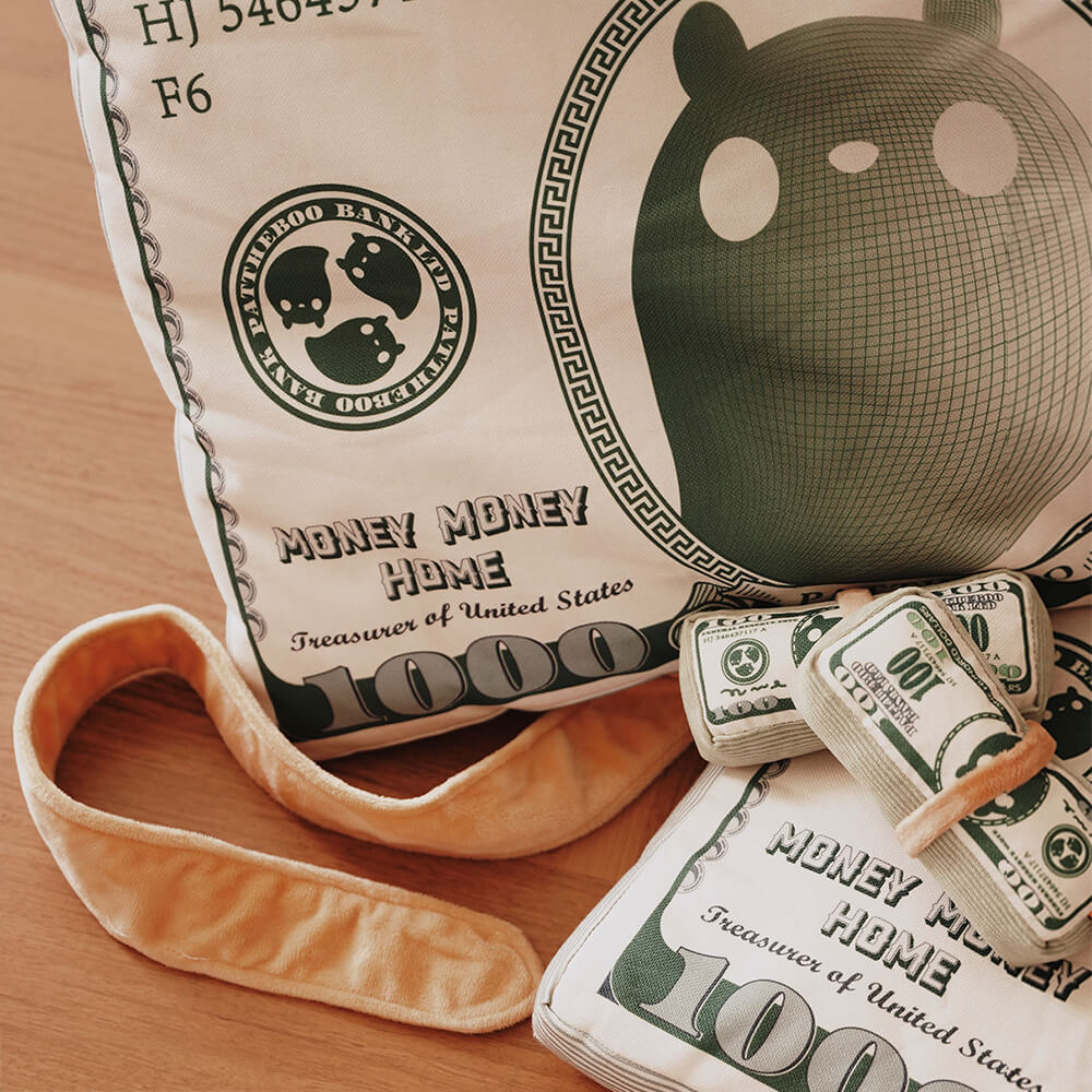 Durable Canvas Money-Themed Cat Bed