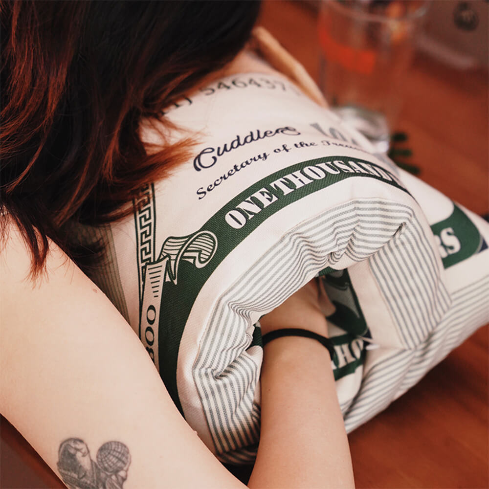 Durable Canvas Money-Themed Cat Bed