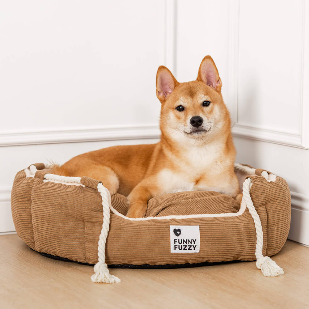 Playful Pull Rope PET PET BETTO REGOLABILE Resistente al cane e gatto
