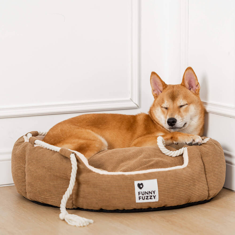 Playful Pull Rope PET PET BETTO REGOLABILE Resistente al cane e gatto