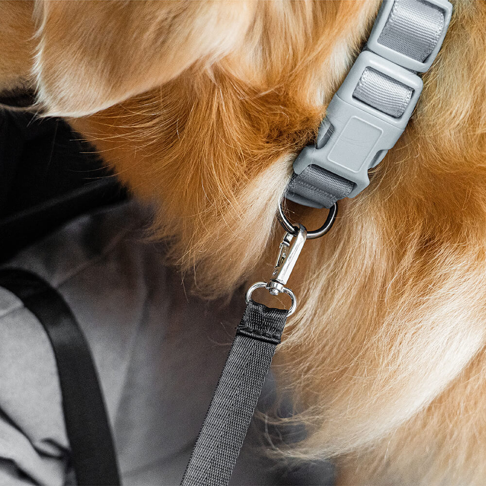 Sicurezza del cestino da viaggio impermeabile medio grande per cani letto posteriore letto posteriore