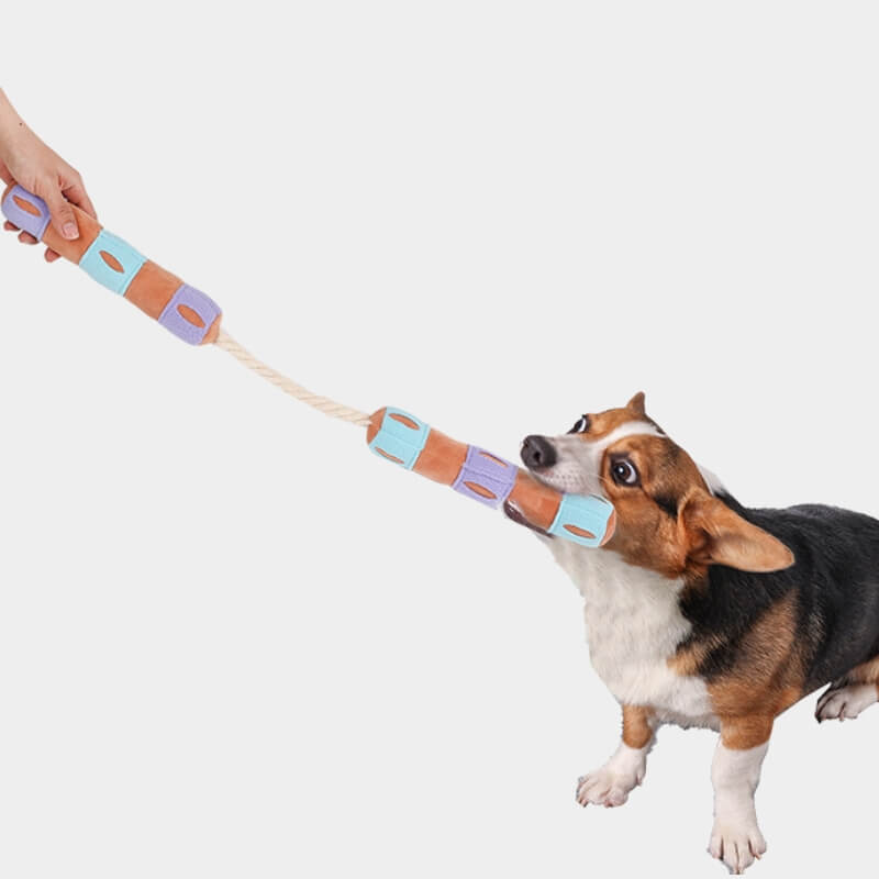 Juguete de perro chillido de trato interactivo divertido