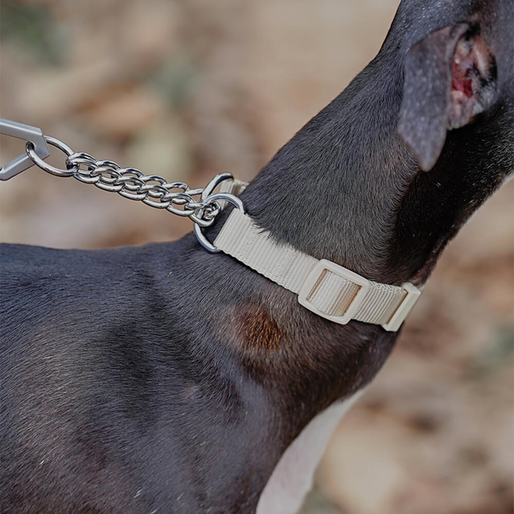 Reazioni a catena Collar di addestramento del cane martingale anti-pull