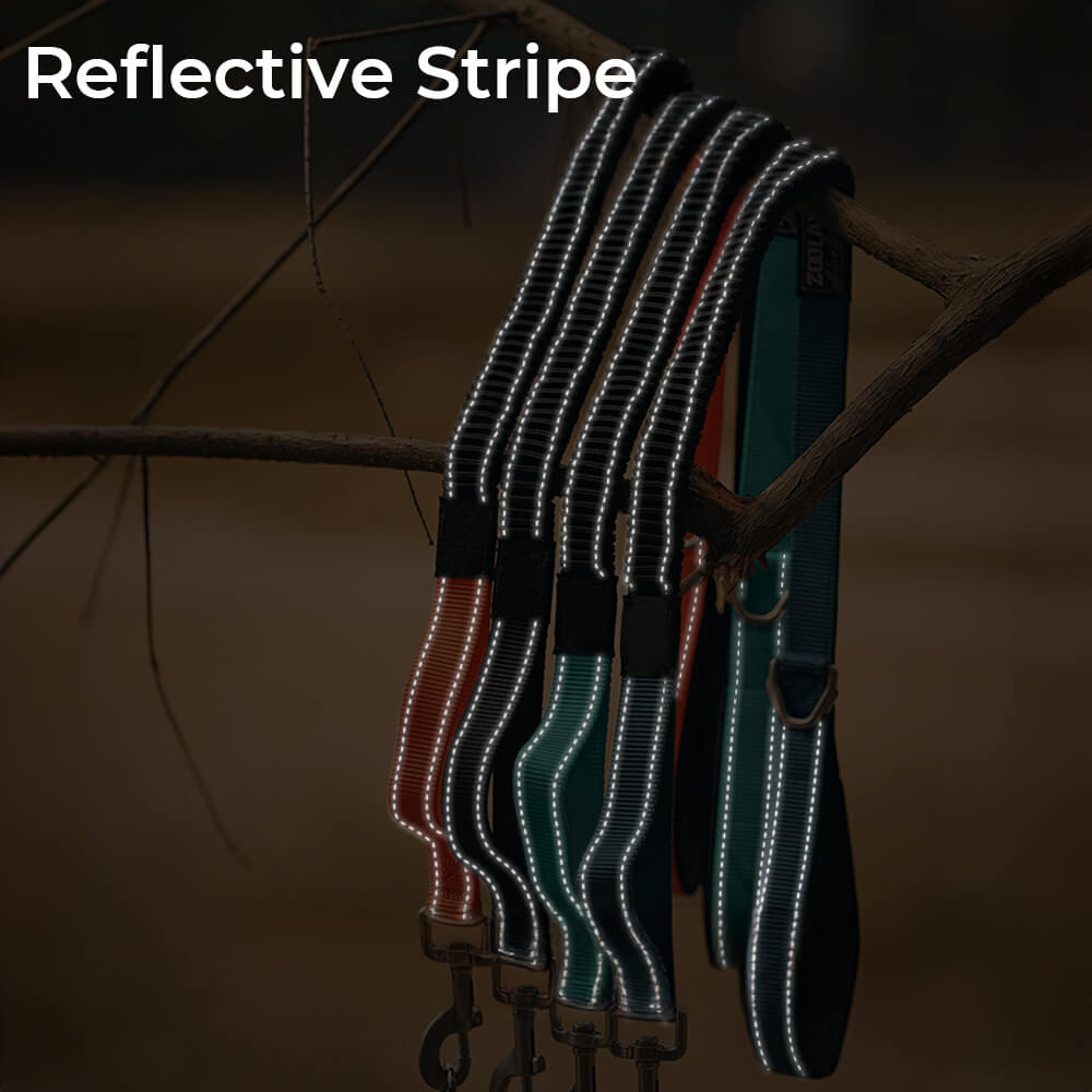 Collar e guinzaglio multifunzionale di cani antipull riflettente