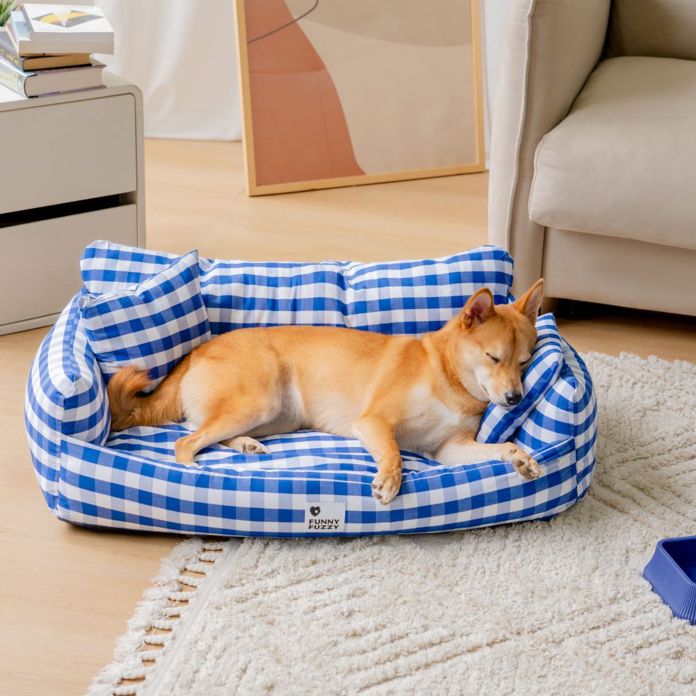Bene cose in lino trasfort traspario di divano letto per pet cognome