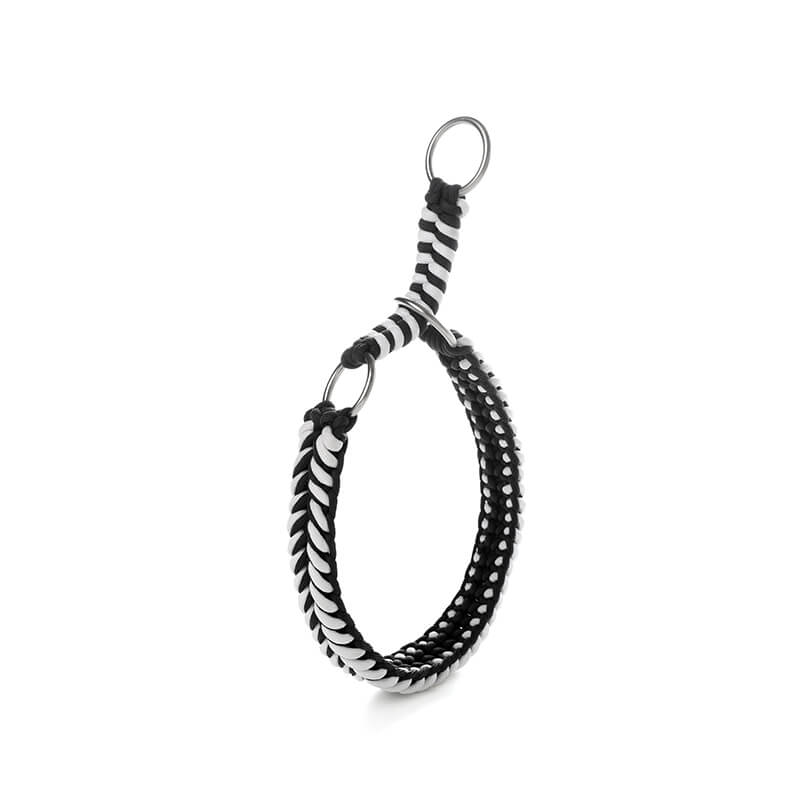 Collar e guinzaglio di cani luminosi antimanelli fatti a mano e guinzaglio