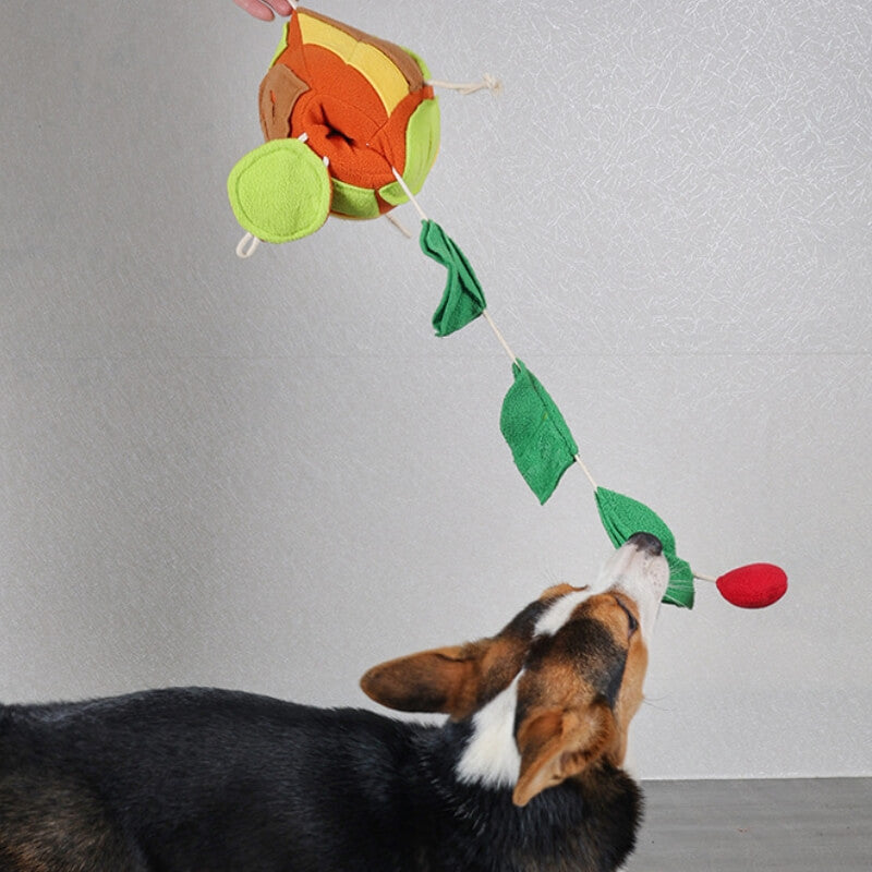 Giocattolo giocattolo cigolante interattivo per cani da cane per cani da gioco giocattolo