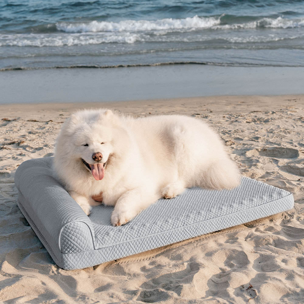 Grande raffreddamento che traspirante non slip ortopedico letto per cani