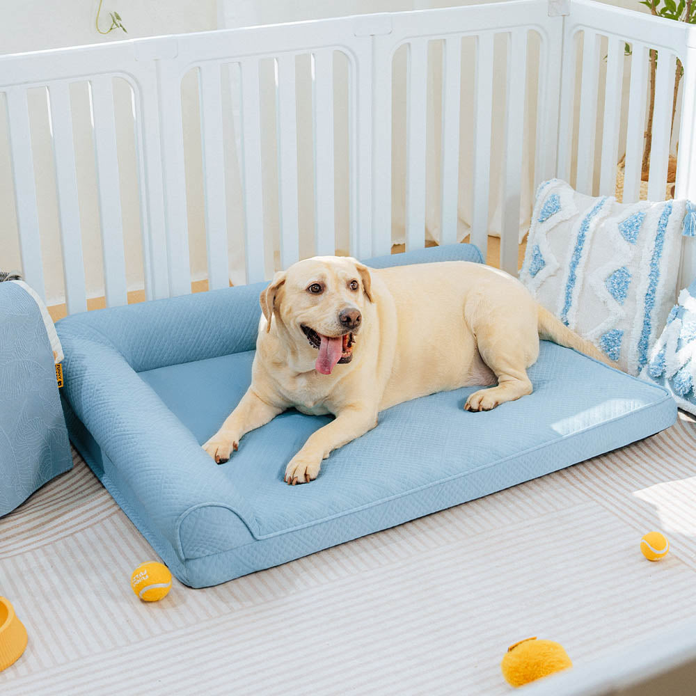 Grande raffreddamento che traspirante non slip ortopedico letto per cani
