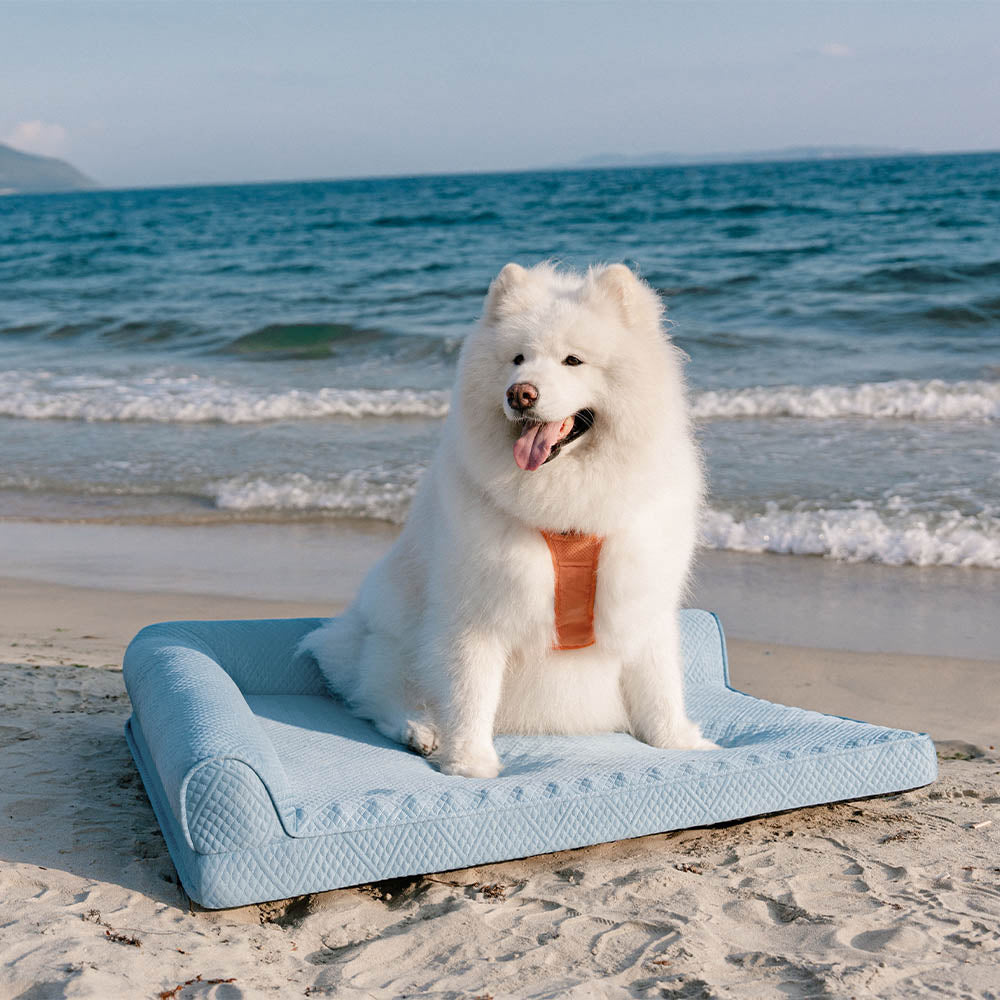 Cama de perro ortopédico sin deslizamiento sin deslizamiento de enfriamiento grande