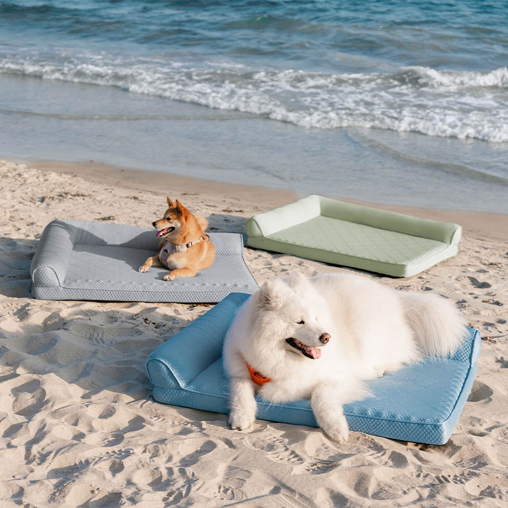 Grande raffreddamento che traspirante non slip ortopedico letto per cani