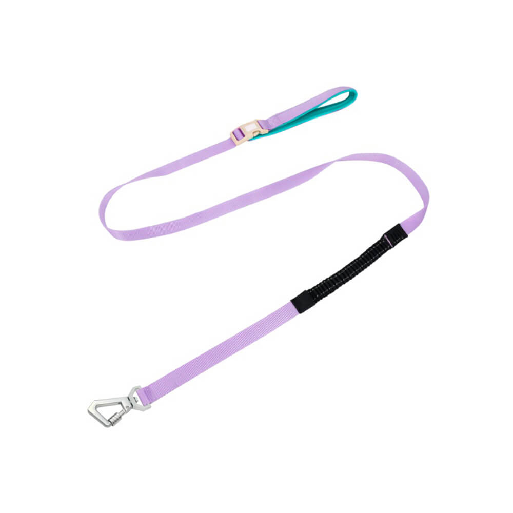 Reazioni a catena Collar di addestramento del cane martingale anti-pull