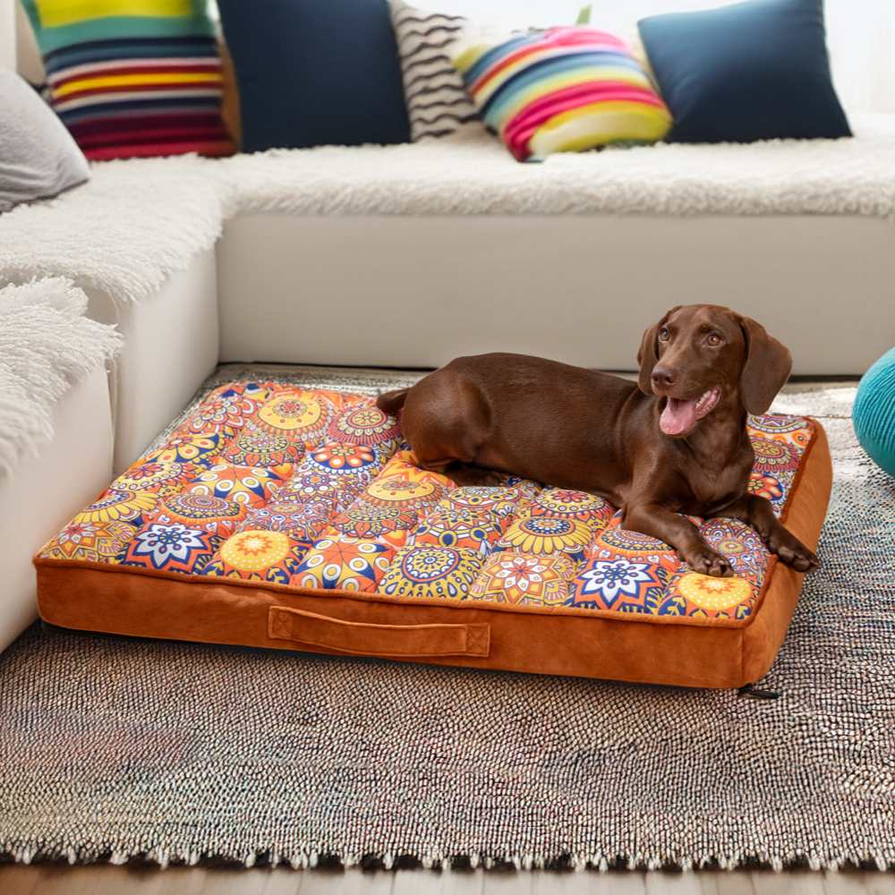 Oreiller orthopédique marocain à soutien complet, épais et confortable, lit pour chien