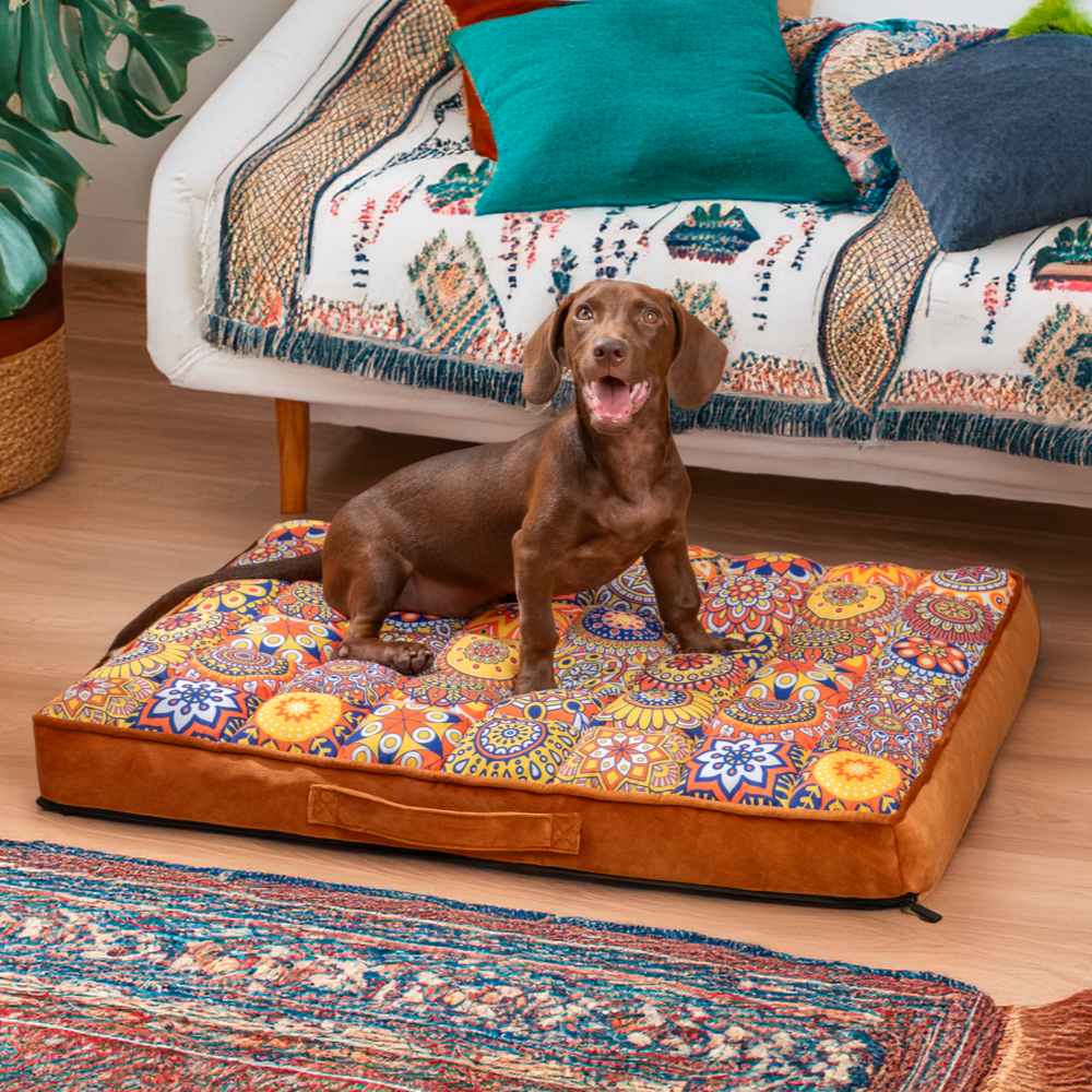 Oreiller orthopédique marocain à soutien complet, épais et confortable, lit pour chien