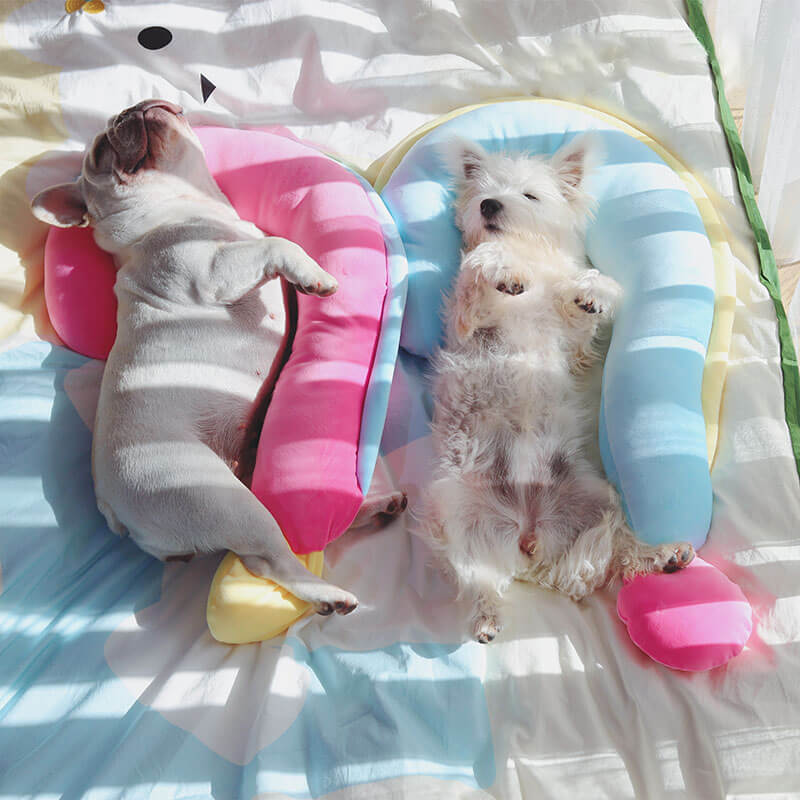 Almohada de almohada ortopédica almohada para perros