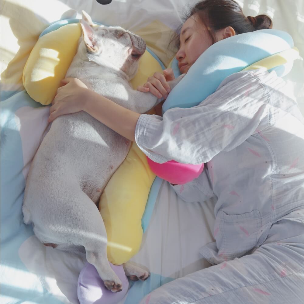 Almohada de almohada ortopédica almohada para perros