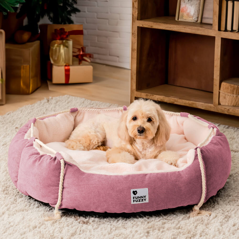Playful Pull Rope PET PET BETTO REGOLABILE Resistente al cane e gatto