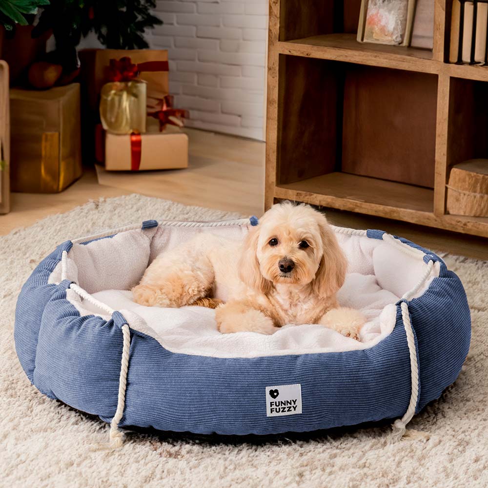 Playful Pull Rope PET PET BETTO REGOLABILE Resistente al cane e gatto