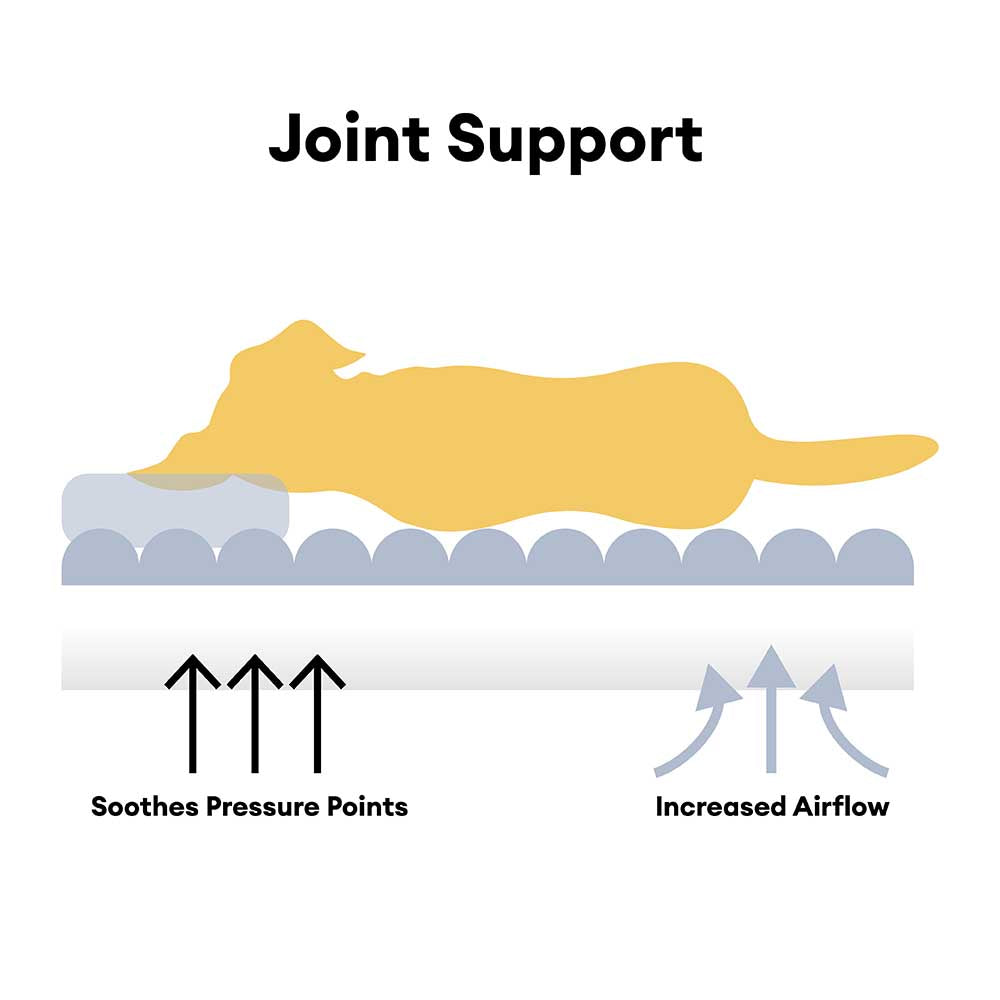 Pelugo di divano di cani per cantini per cuscinetti lavabili - dolce cremoso
