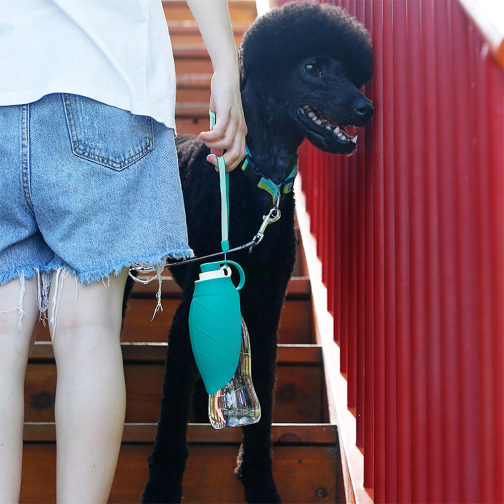 Bottiglia d'acqua per cani da viaggio per esterno a forma di foglia portatile