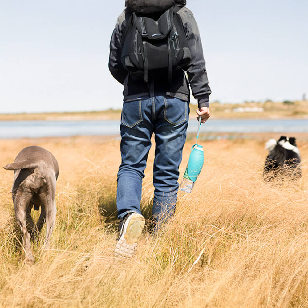 Bottiglia d'acqua per cani da viaggio per esterno a forma di foglia portatile