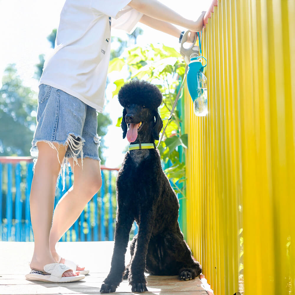 Bottiglia d'acqua per cani da viaggio per esterno a forma di foglia portatile