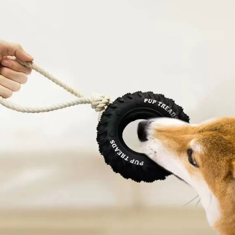 TOMO DE CABO TIEMA DIG Interactivo Toy dentición y juguete de masticación