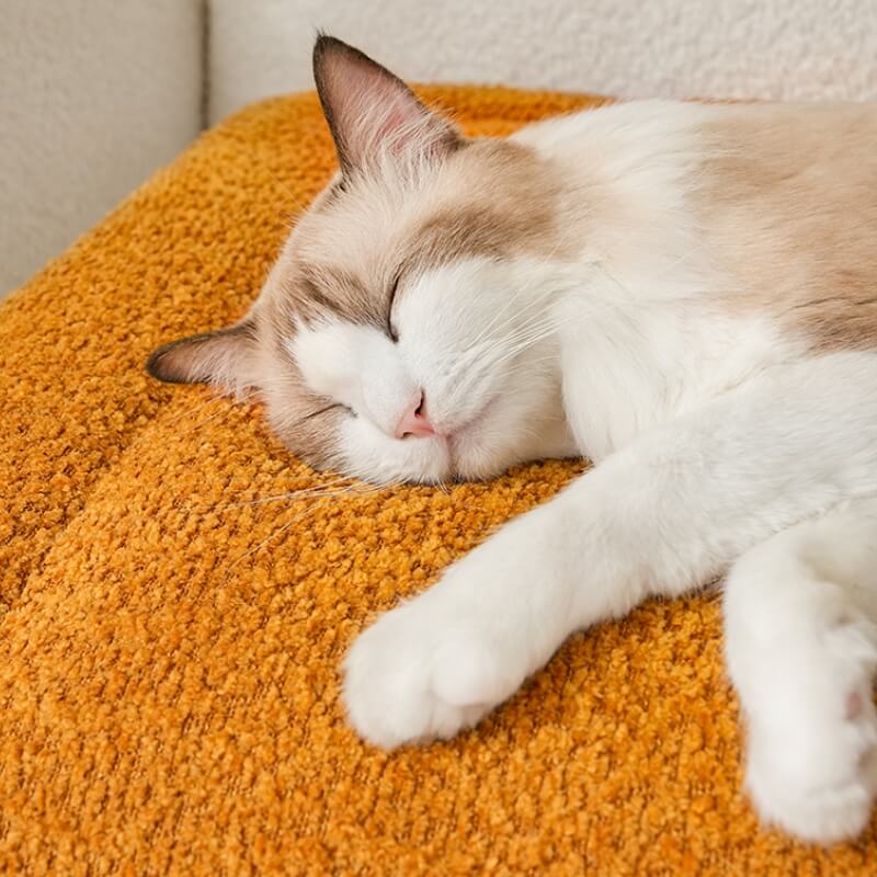 Tappet da peluche caloroso comodo comodo non slip