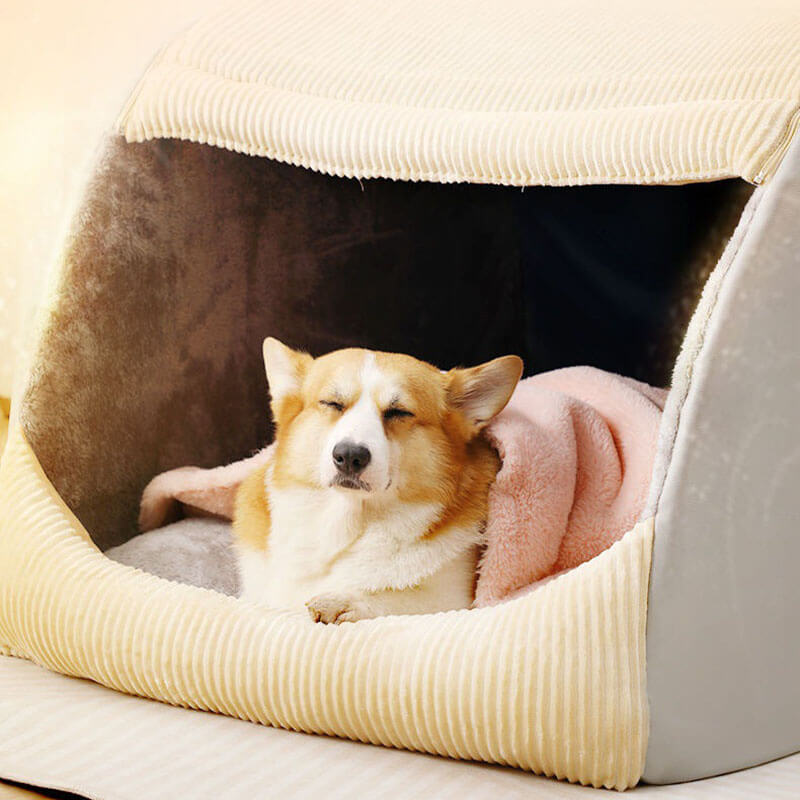 Letto da tenda da cani semi-bernato in flanella calda staccabile