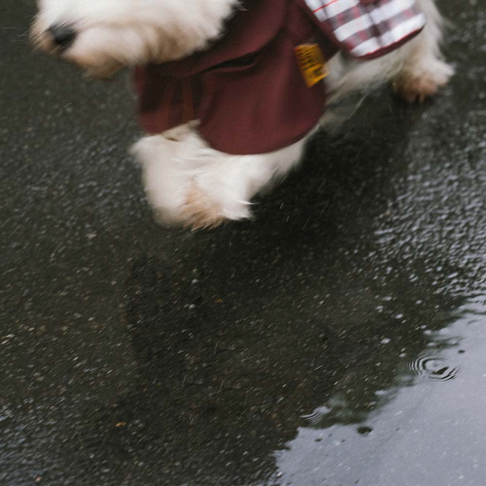 Wasserdichter, verstellbarer Hunde-Regenmantel im Vintage-Karomuster – Allwetterschutz