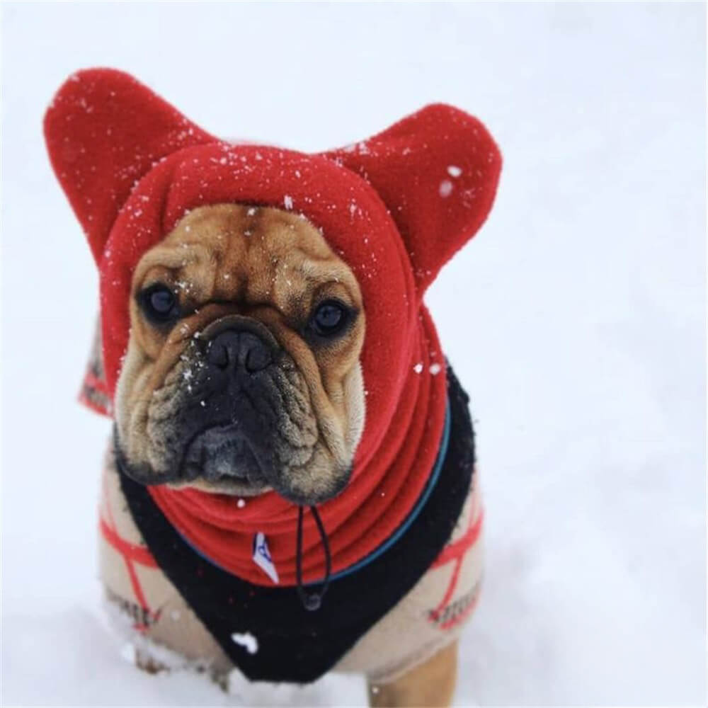 Cappuccio per cani in pile con orecchie da orso - Tespaggio invernale divertente e accogliente