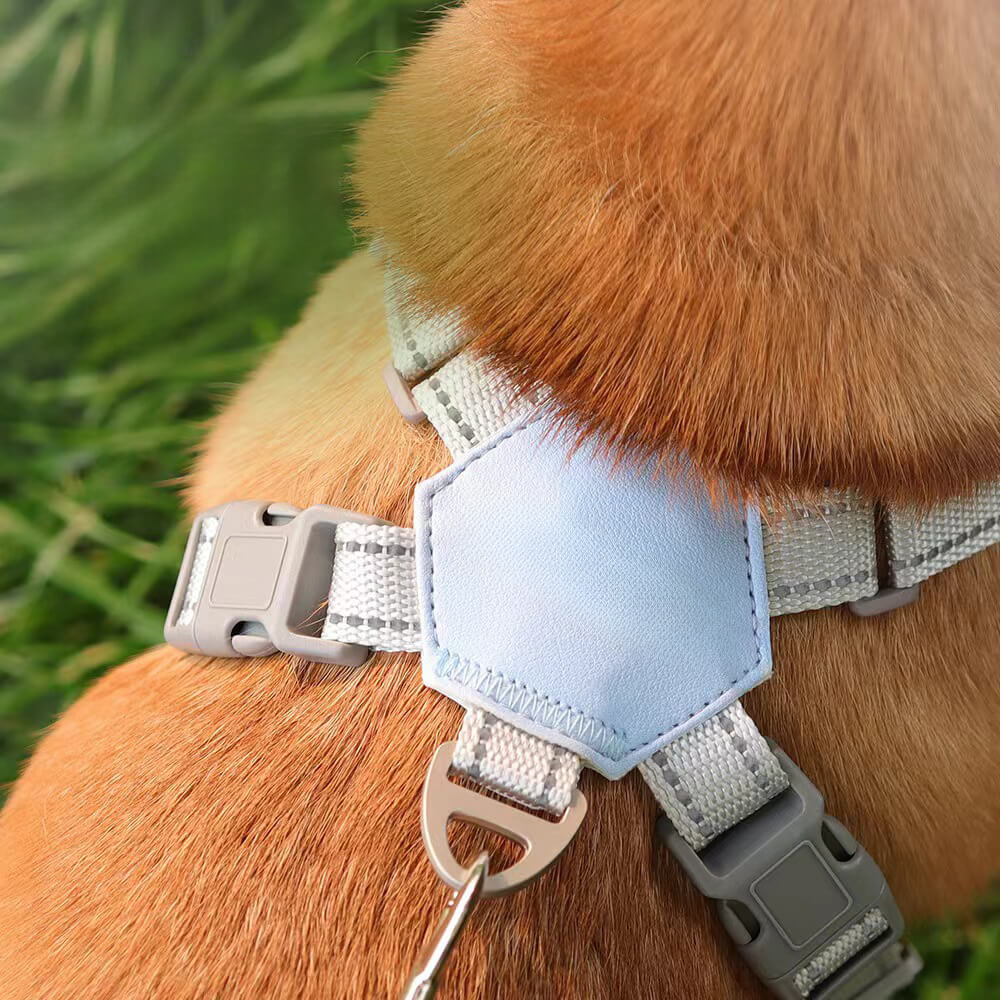 Imbracatura della corda di trazione per cani da compagnia - traspirante e sicuro