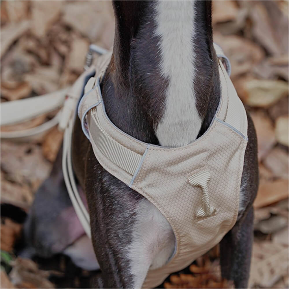 Imbrigliamento per cani anti-pull e traspirante impermeabile leggero o guinzaglio multifunzionale