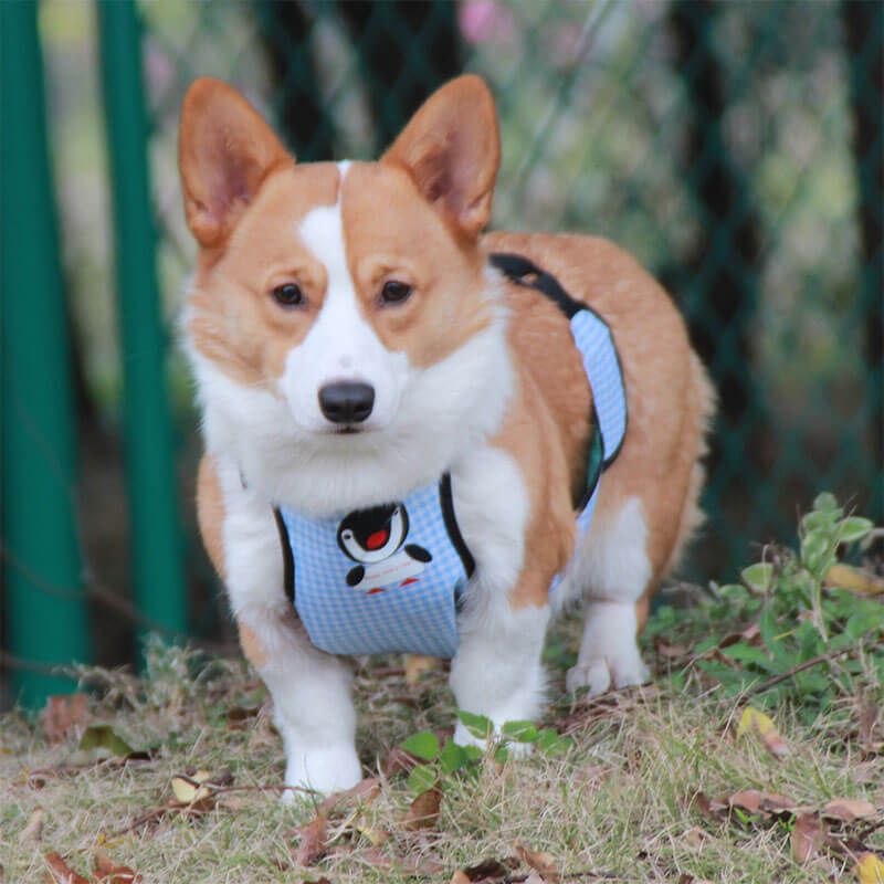 Cubierta de perrito de babero de mascotas a cuadros impermeables