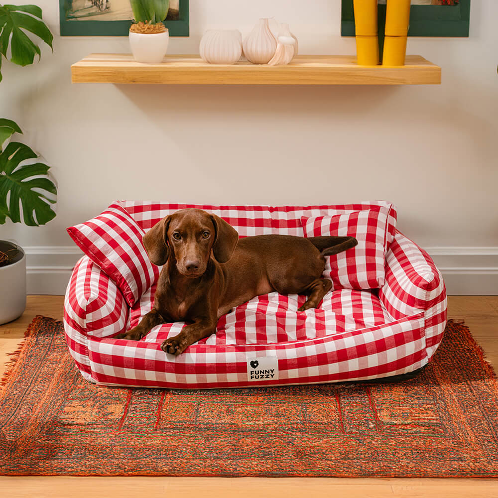 Bene cose in lino trasfort traspario di divano letto per pet cognome