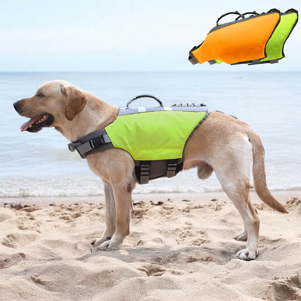 Giacca per cani ad alta visibilità sicura e galleggiante