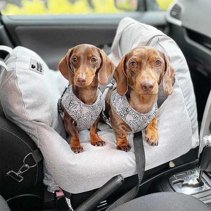 Cama para el asiento del automóvil del perro - Primera clase