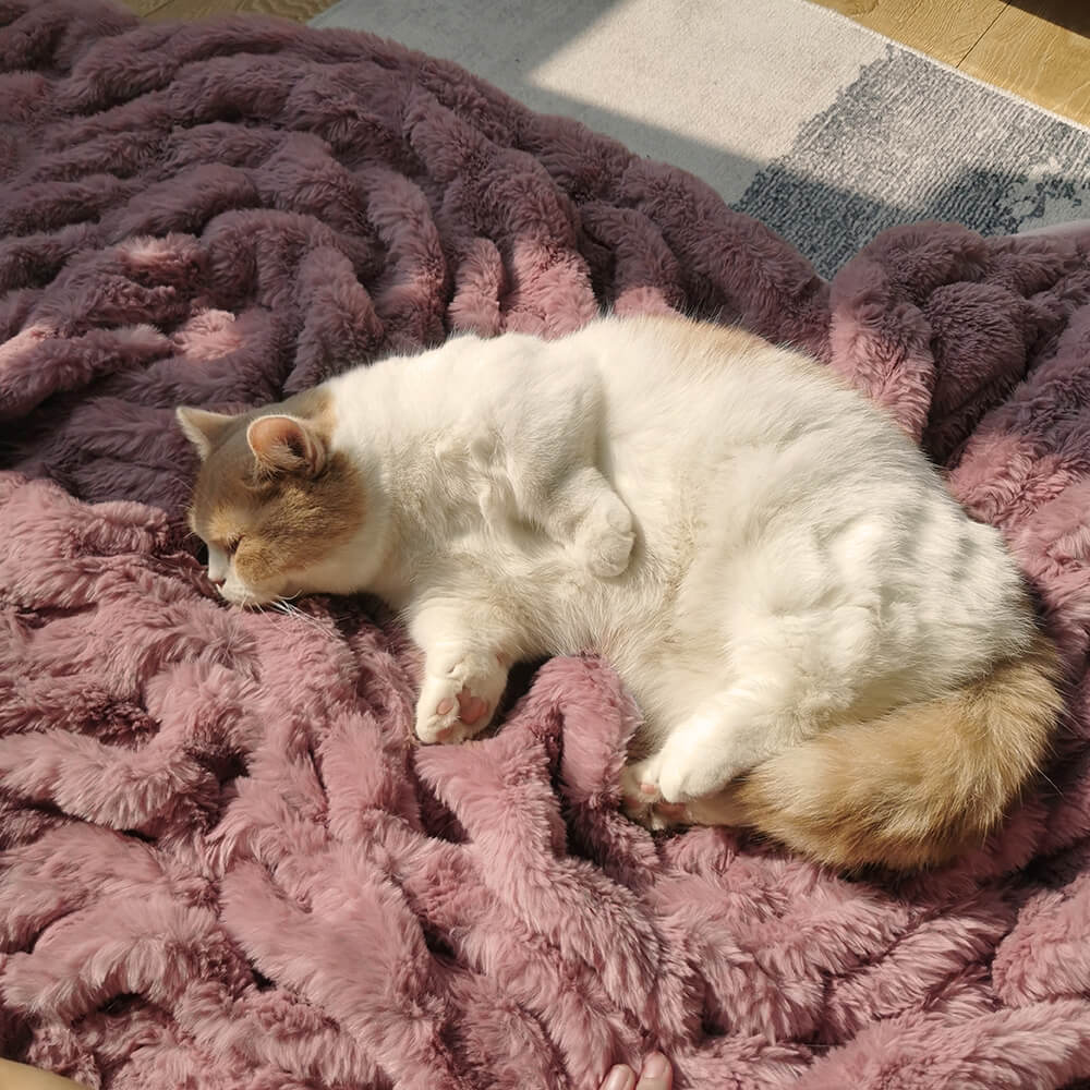Luxury Super Large Human Dog Bed With Super Soft Pet Throw Blanket - FUNNYFUZZY