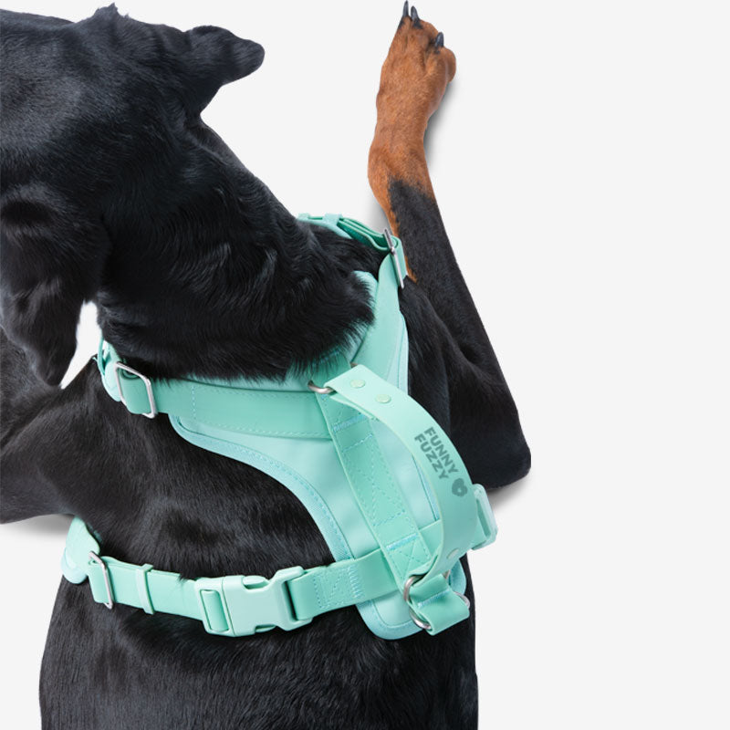 Gummy Cool Hundezubehör-Set für den Spaziergang