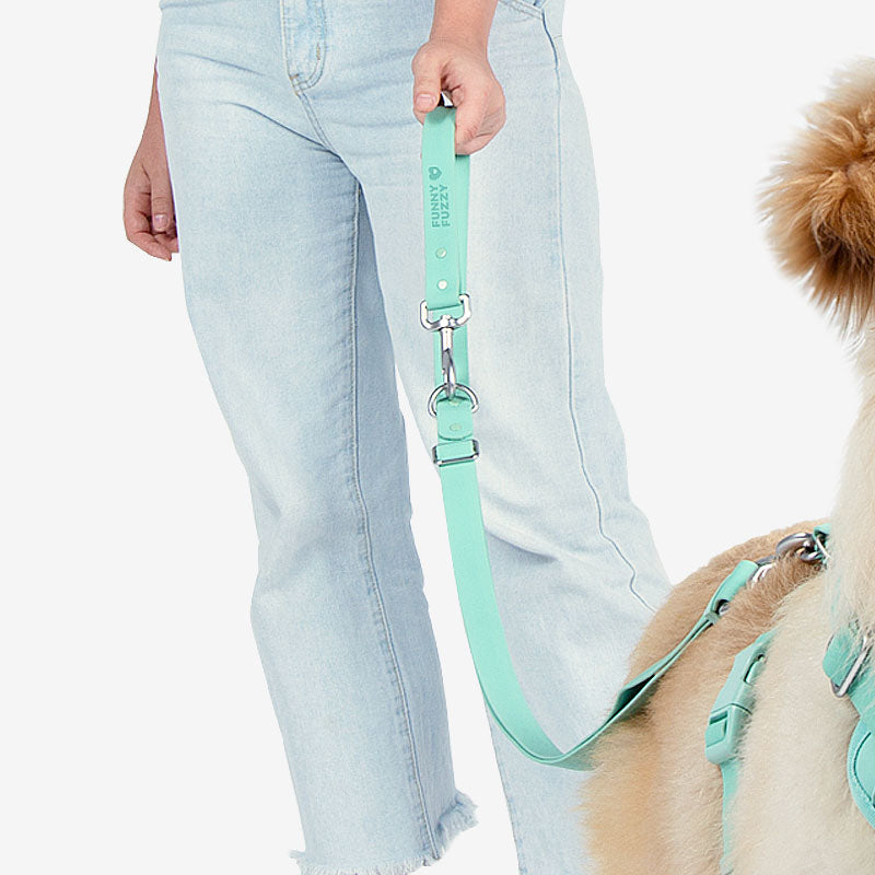 Gummy Cool Hundezubehör-Set für den Spaziergang