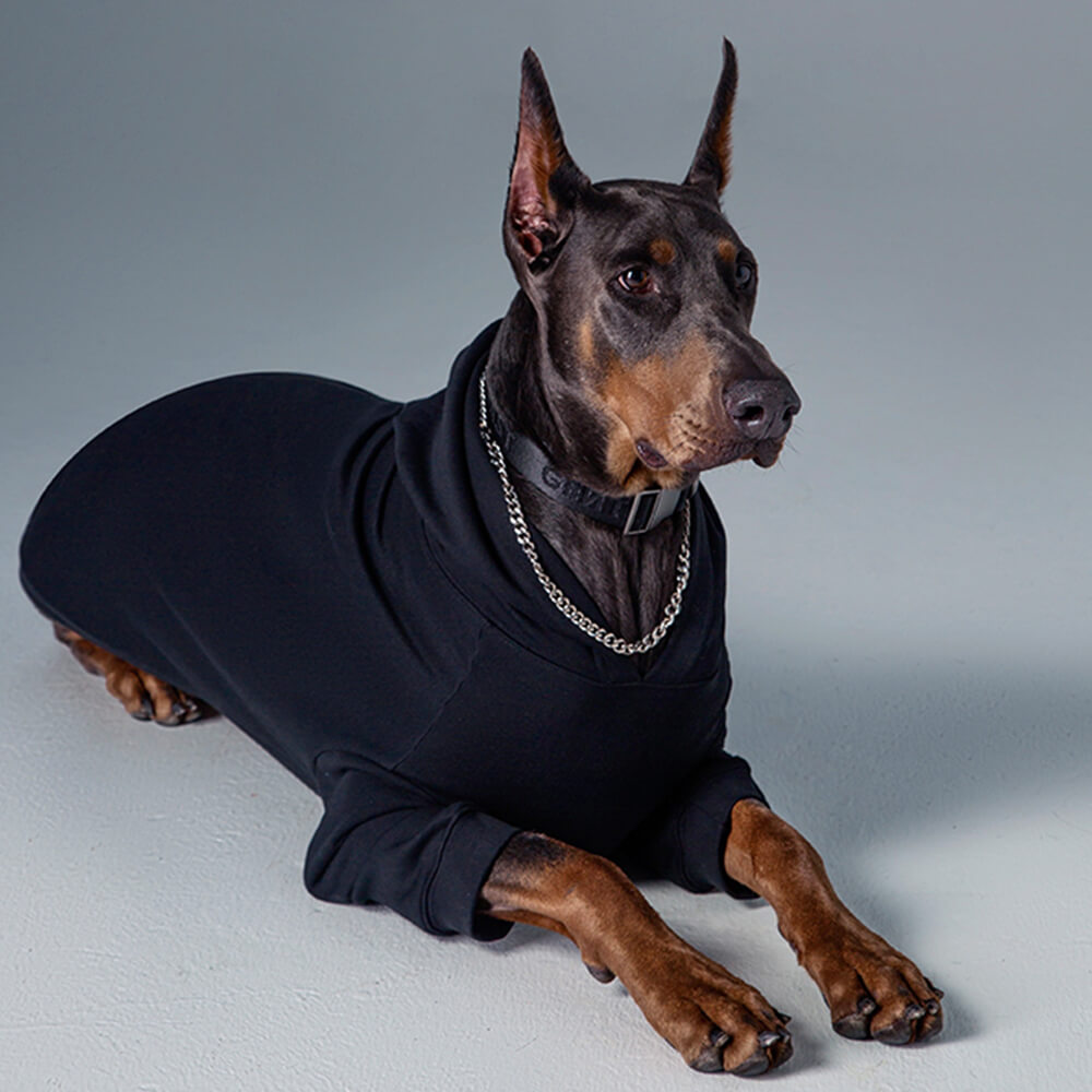 Solid Color Hooded Pullover Sweatshirt for Matching Dog and Owner