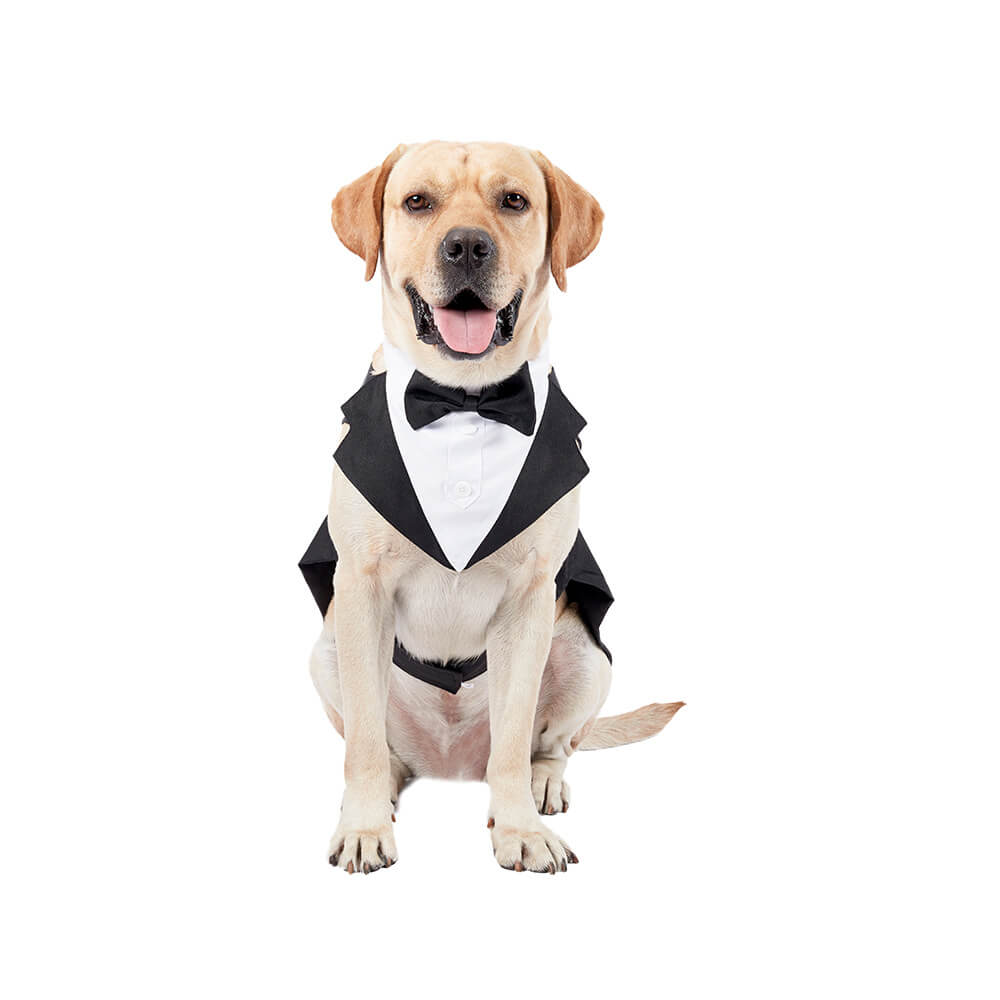 Ropa para perros, vestido de traje con pajarita de boda