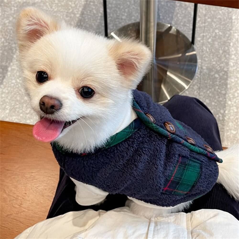 Veste d'hiver pour chien à carreaux avec écharpe – Festive et confortable pour les vacances