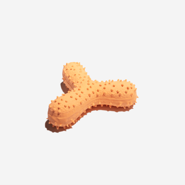 Cactus Shaped Squeaky Dog Toys