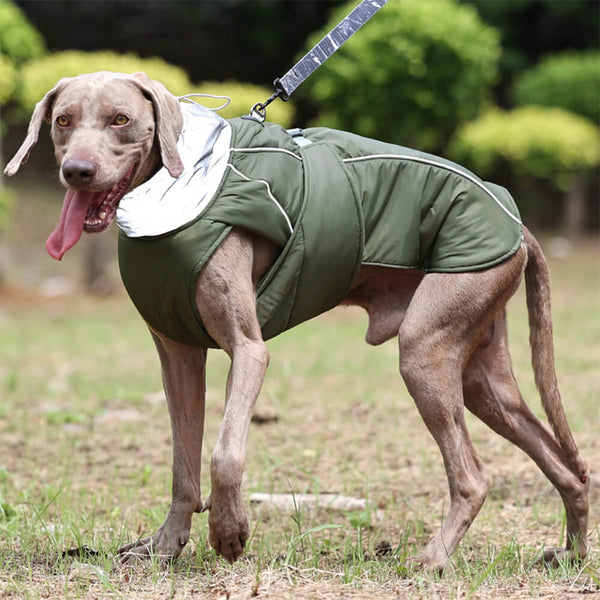 Chaqueta reflectante de perro caliente de cuello alto impermeable