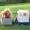 Soft-Sided Breathable Multifunctional Travel Pet Carrier Bag with Bottom Pad