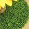 Tablero de rasguños de gato de sisal de girasol con base de hierba estable