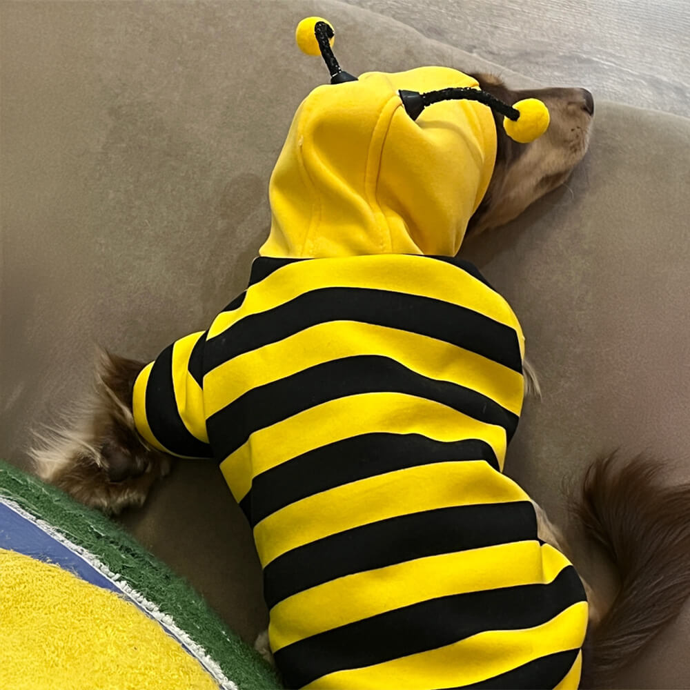 Bee Suit Quirky Funny Hooded Dog Costume